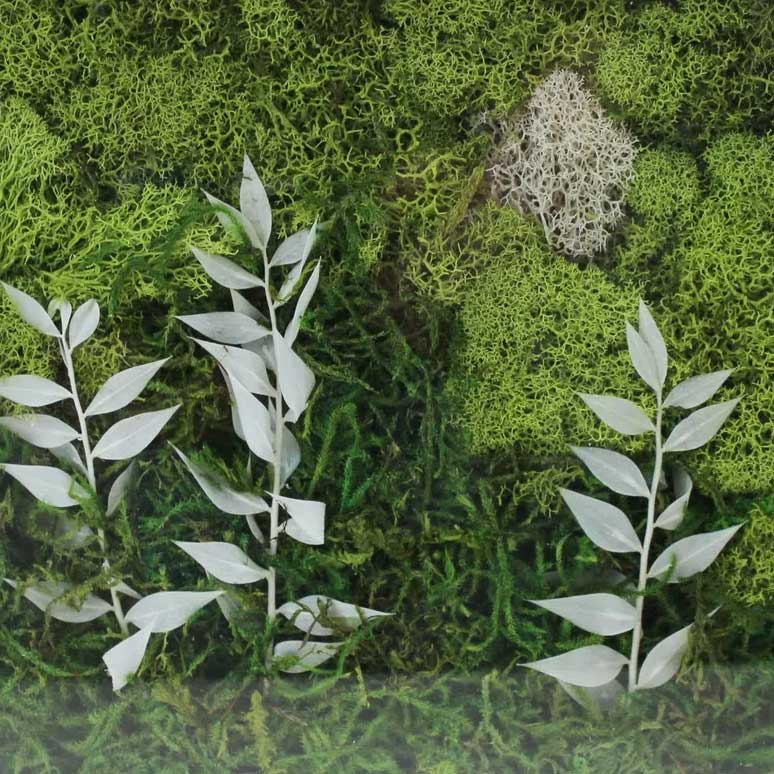 Moss Art with Studio by Garden Streets