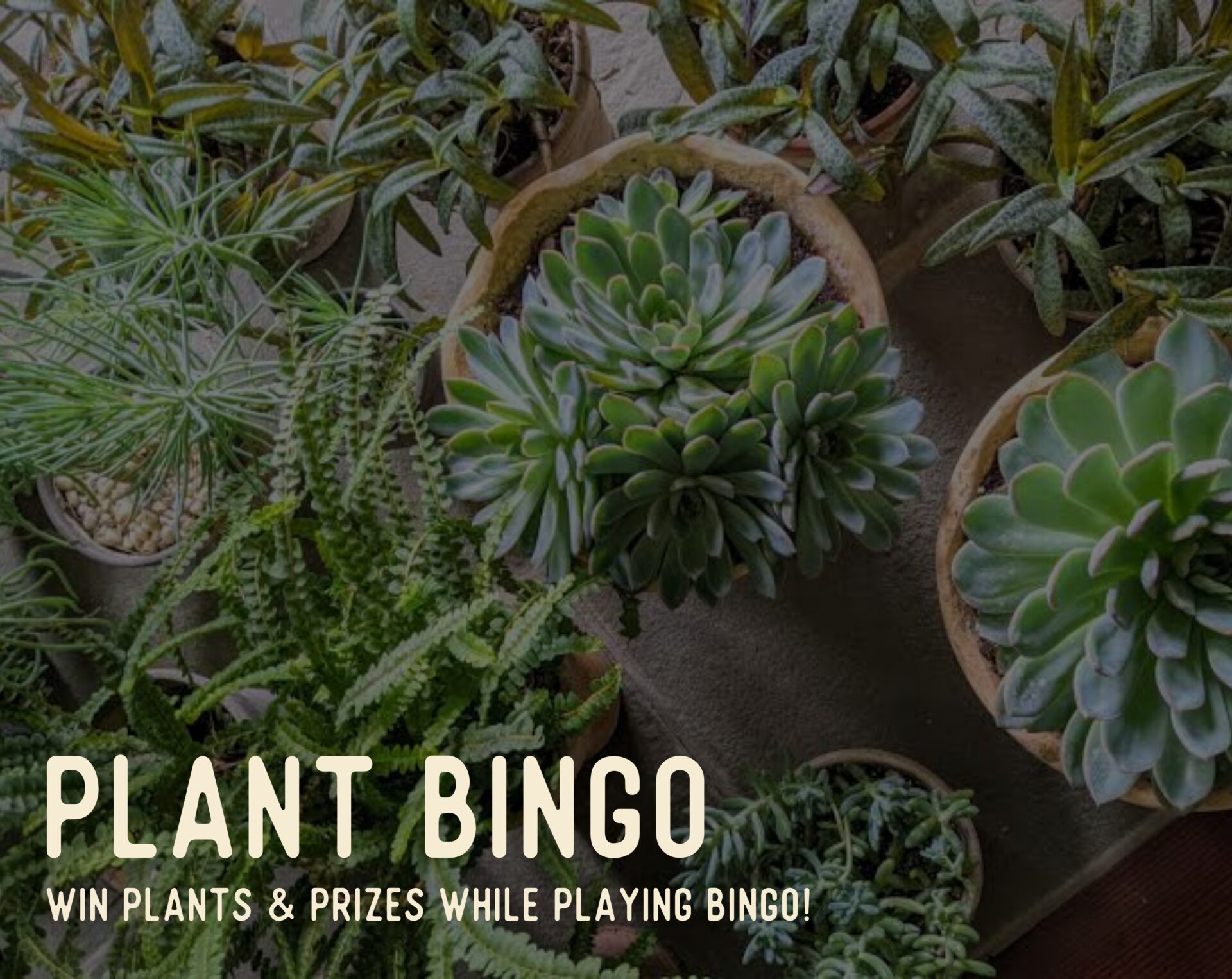 Plant Bingo